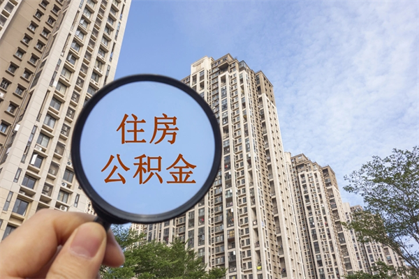 上海公积金离职了还能取钱吗（上海公积金辞职了可以取出来吗）